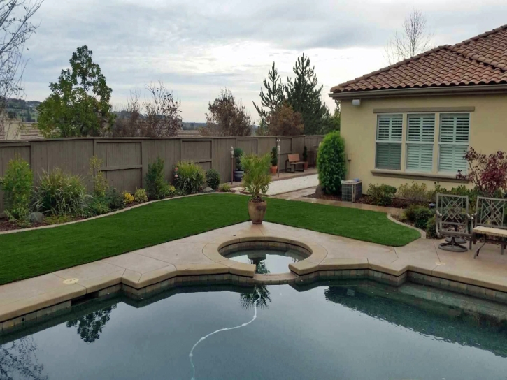 Synthetic Grass Spring Valley, California Backyard Deck Ideas, Backyard Design