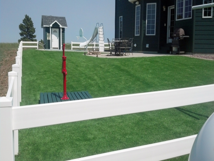 Synthetic Grass Vista, California Home And Garden, Front Yard Landscaping