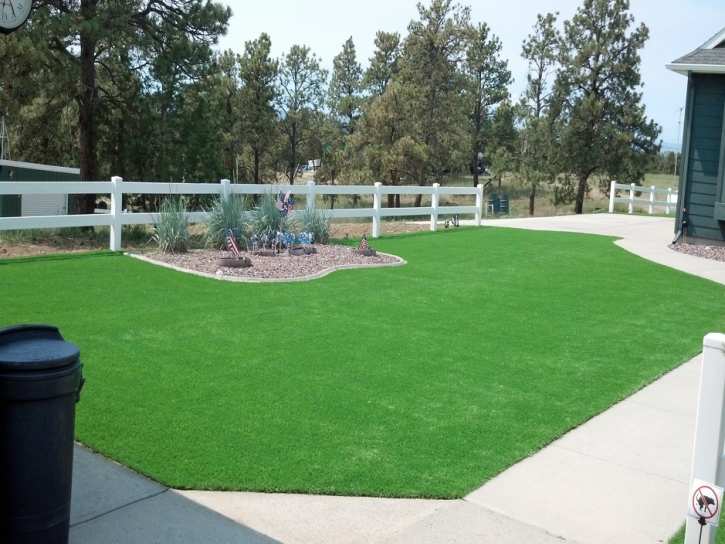 Synthetic Lawn Calexico, California Lawns, Front Yard Landscaping