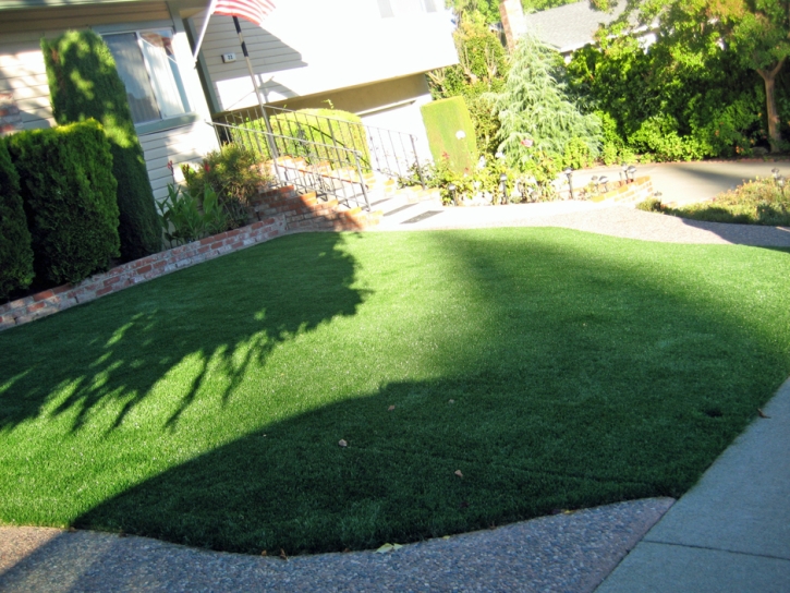 Synthetic Lawn Desert Shores, California Landscaping, Small Front Yard Landscaping