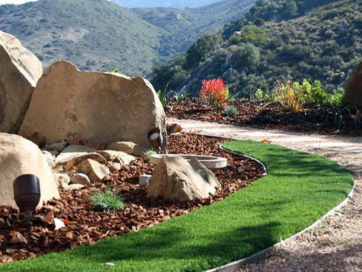 Synthetic Lawn Granite Hills, California Landscape Photos, Landscaping Ideas For Front Yard