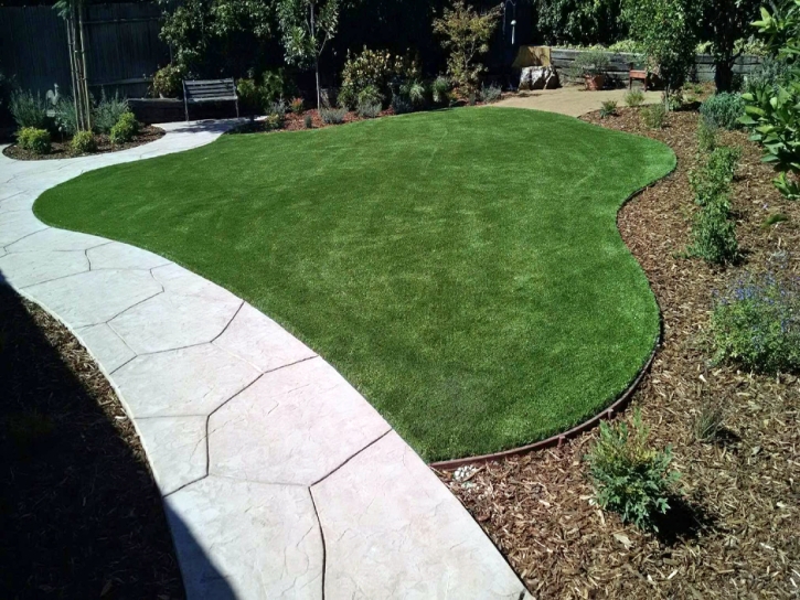 Synthetic Lawn Imperial Beach, California Lawn And Garden, Front Yard Landscaping Ideas