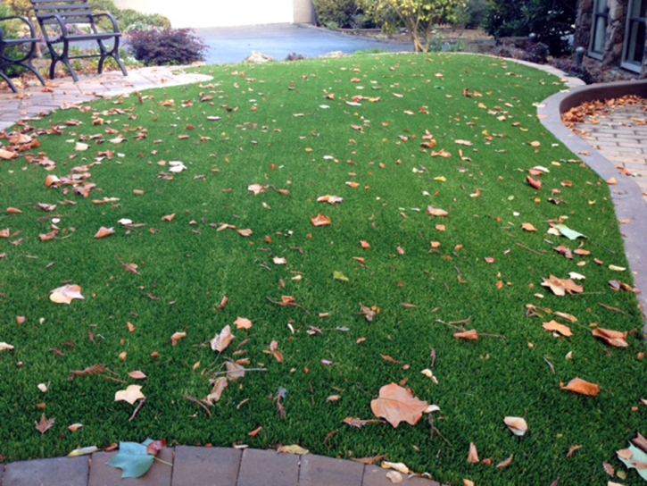 Synthetic Lawn La Jolla, California Lawn And Garden, Landscaping Ideas For Front Yard