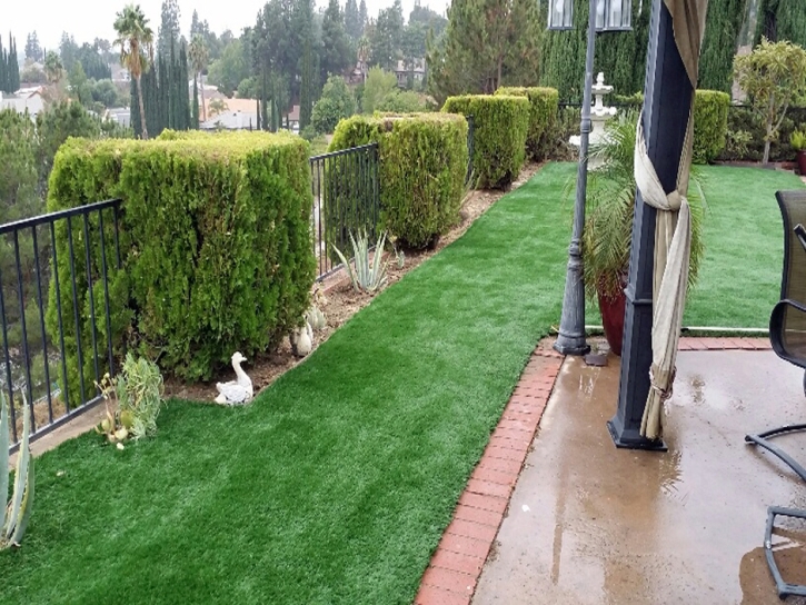 Synthetic Lawn Lakeside, California Landscape Photos, Backyard Landscape Ideas