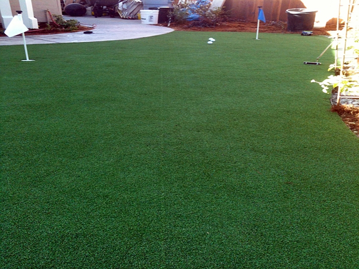 Synthetic Lawn Westmorland, California Design Ideas, Backyard Ideas