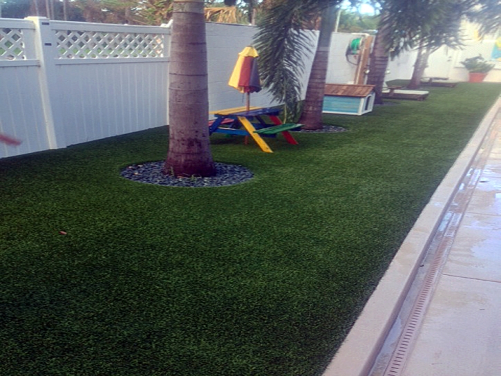 Synthetic Turf Calipatria, California Backyard Playground, Backyard Landscaping