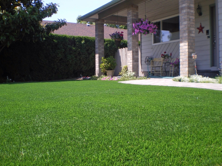 Synthetic Turf Camp Pendleton South, California Lawns, Front Yard Design