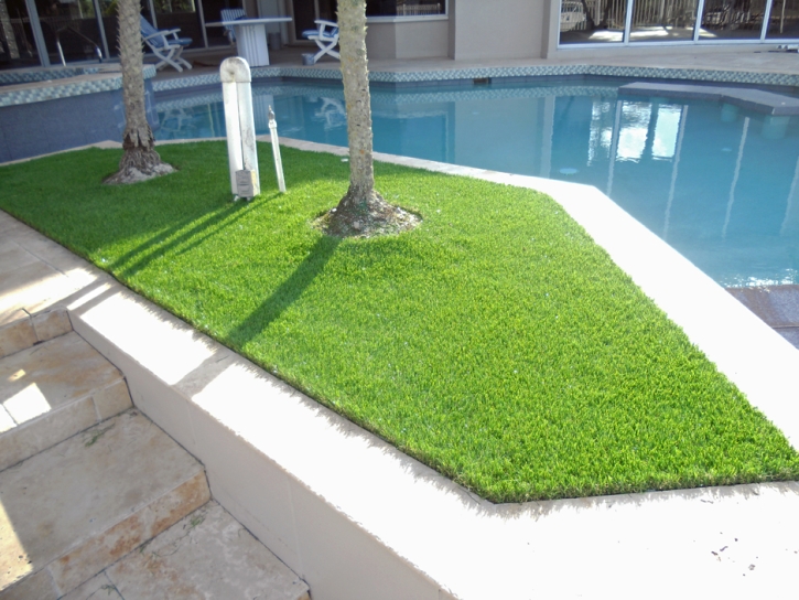 Synthetic Turf Campo, California Design Ideas, Backyard Makeover