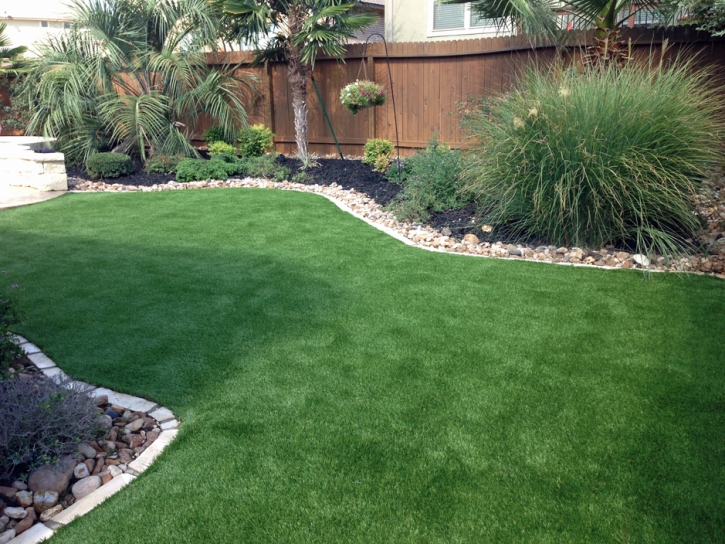 Synthetic Turf Chula Vista, California Landscape Design, Backyard Design