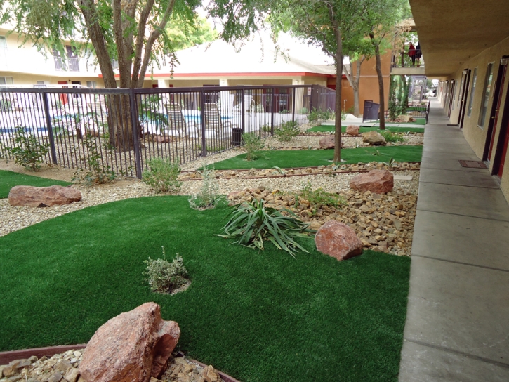 Synthetic Turf Descanso, California Landscape Photos, Commercial Landscape