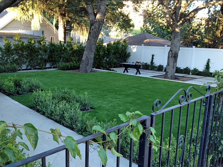 Synthetic Turf Escondido, California Gardeners, Front Yard Design