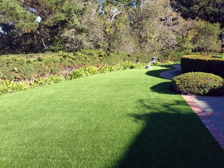 Synthetic Turf Harbison Canyon, California Landscape Ideas, Front Yard Landscaping Ideas