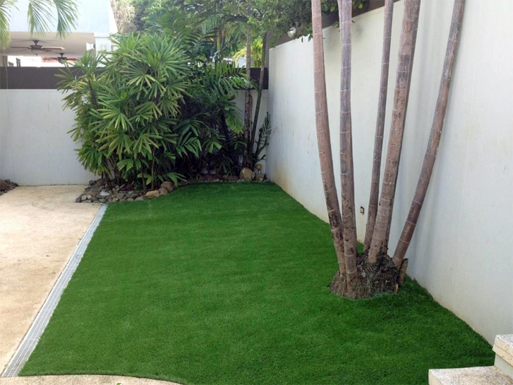 Synthetic Turf Julian, California Landscape Rock, Backyard Garden Ideas