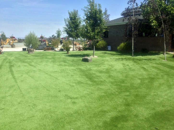 Synthetic Turf Lemon Grove, California Design Ideas, Recreational Areas