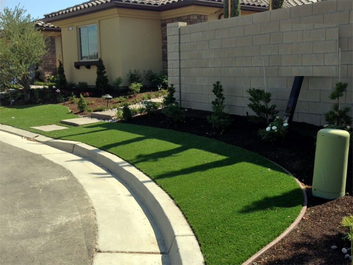 Synthetic Turf Lemon Grove, California Landscape Design, Front Yard Ideas