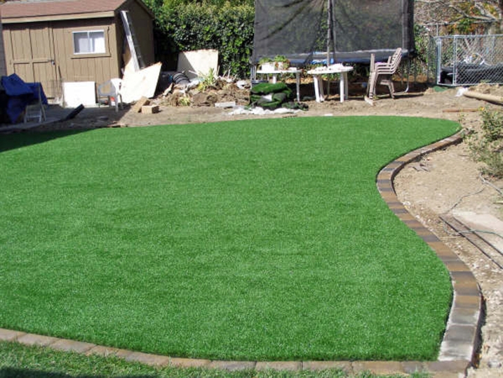 Synthetic Turf Potrero, California Lawns, Backyard