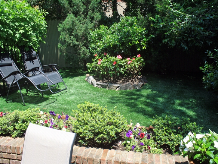 Synthetic Turf San Diego Country Estates, California Roof Top, Backyard Landscaping