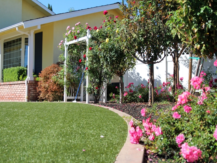 Synthetic Turf San Diego Country Estates, California City Landscape, Front Yard Ideas