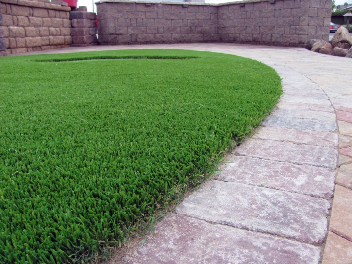 Synthetic Turf San Pasqual, California Indoor Dog Park, Front Yard Landscaping