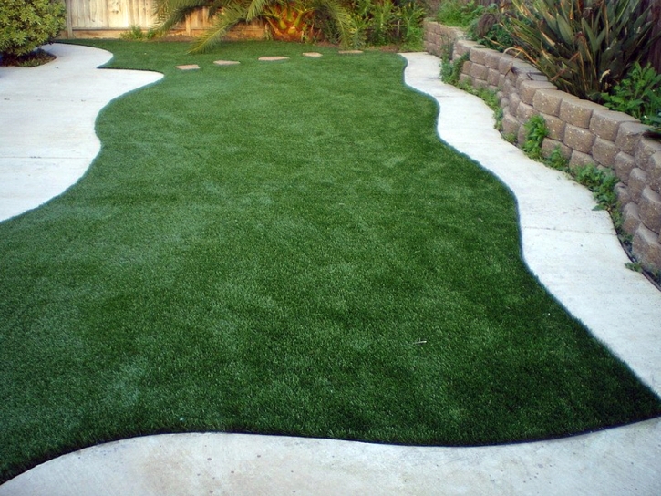 Synthetic Turf Supplier Chula Vista, California Landscaping Business, Backyard Design