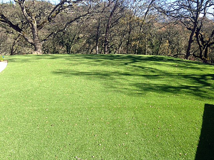 Synthetic Turf Supplier Desert Shores, California Lawn And Garden, Recreational Areas