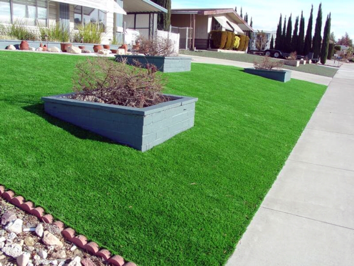 Synthetic Turf Supplier Fairbanks Ranch, California Lawns, Front Yard Landscaping