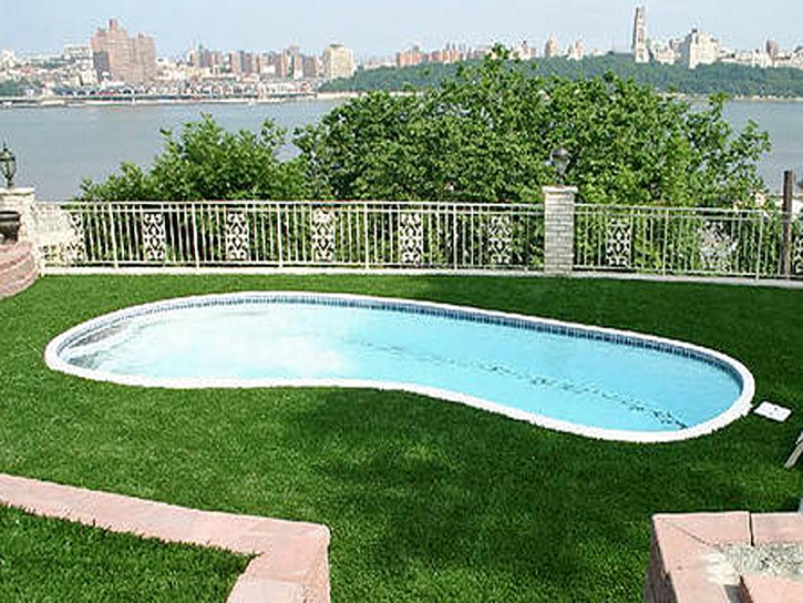 Synthetic Turf Supplier Jamul, California Garden Ideas, Natural Swimming Pools