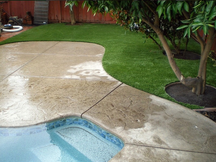 Synthetic Turf Supplier Julian, California Landscape Photos, Swimming Pool Designs