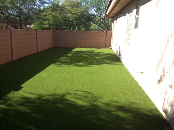 Synthetic Turf Supplier Julian, California Backyard Playground, Backyard Landscape Ideas