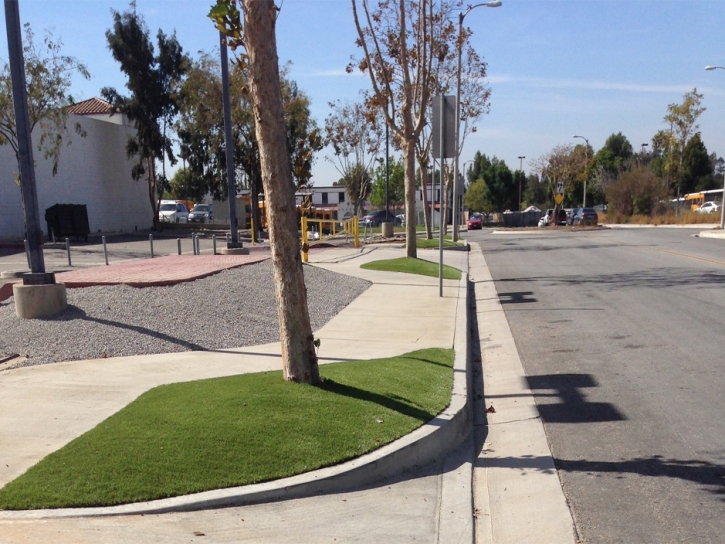 Synthetic Turf Supplier Rancho San Diego, California Paver Patio, Commercial Landscape