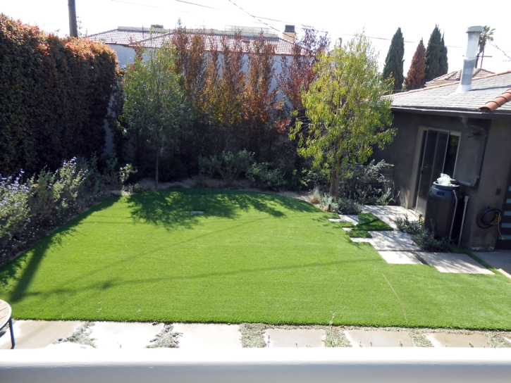 Turf Grass Bostonia, California City Landscape, Backyards