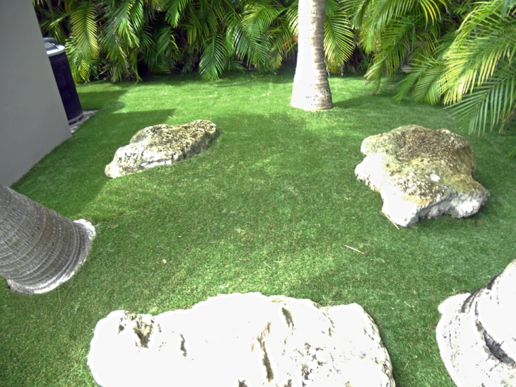 Turf Grass Carlsbad, California Landscaping, Backyard Ideas