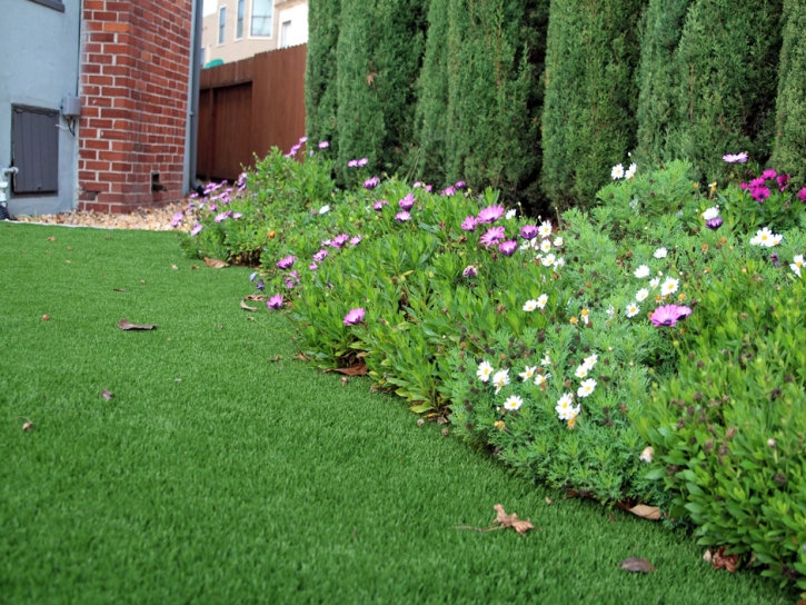 Turf Grass Coronado, California Lawn And Landscape, Front Yard Ideas