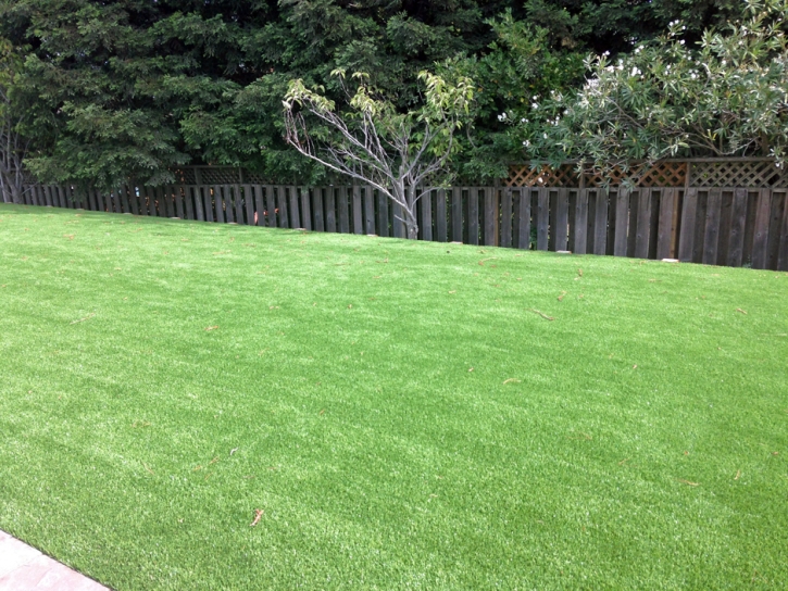 Turf Grass Encinitas, California Garden Ideas, Backyard Landscaping