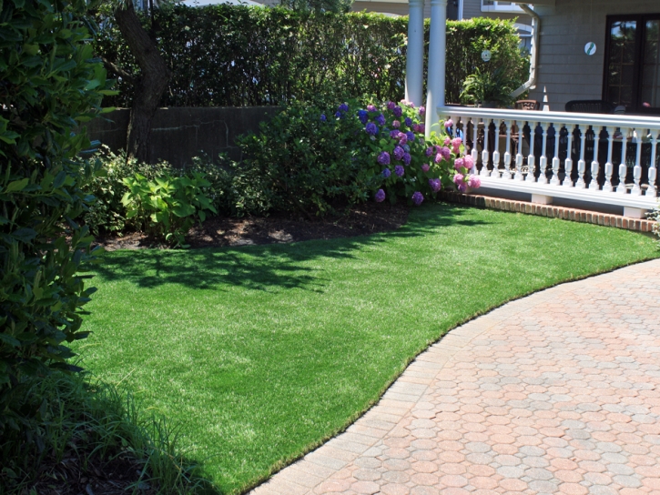 Turf Grass Fallbrook, California Lawn And Garden, Small Front Yard Landscaping