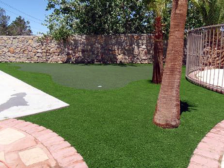 Turf Grass Holtville, California Best Indoor Putting Green, Backyard Landscaping Ideas