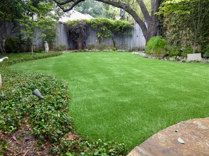 Turf Grass Lake San Marcos, California Roof Top, Backyard Landscaping Ideas