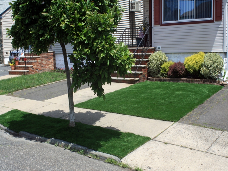 Turf Grass Potrero, California Roof Top, Small Front Yard Landscaping