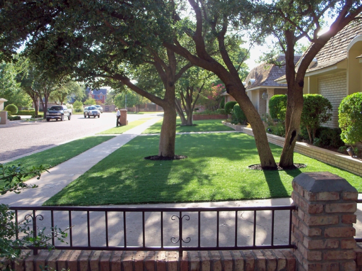 Turf Grass Rancho San Diego, California Landscape Photos, Front Yard