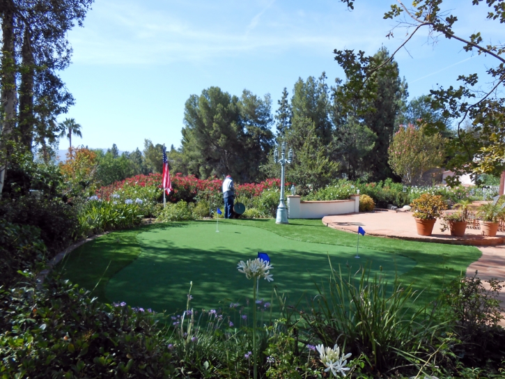 Turf Grass Rancho San Diego, California Lawn And Landscape, Backyard Design