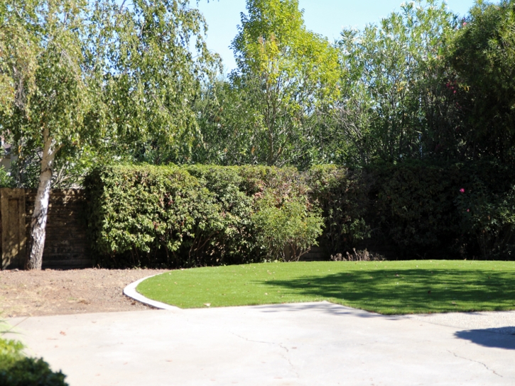 Turf Grass Valley Center, California Landscaping, Backyard Landscaping