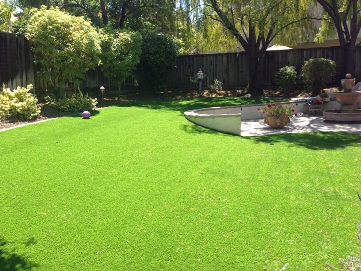 Turf Grass Vista, California Roof Top, Backyard Landscape Ideas