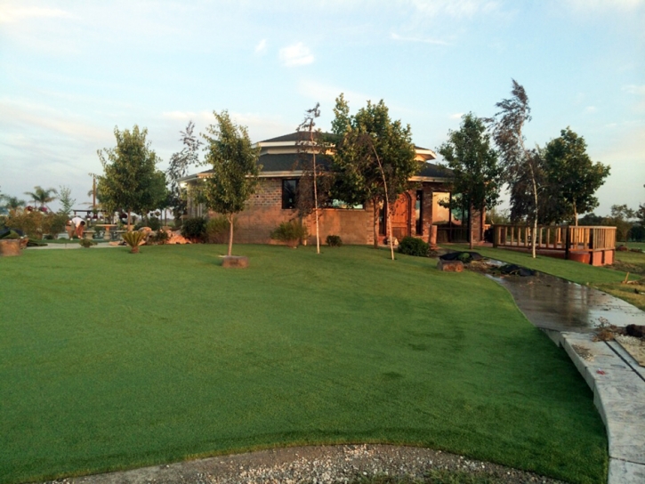 Turf Grass Winter Gardens, California Roof Top, Commercial Landscape